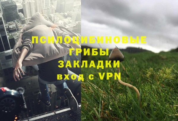 соль ск Белая Холуница