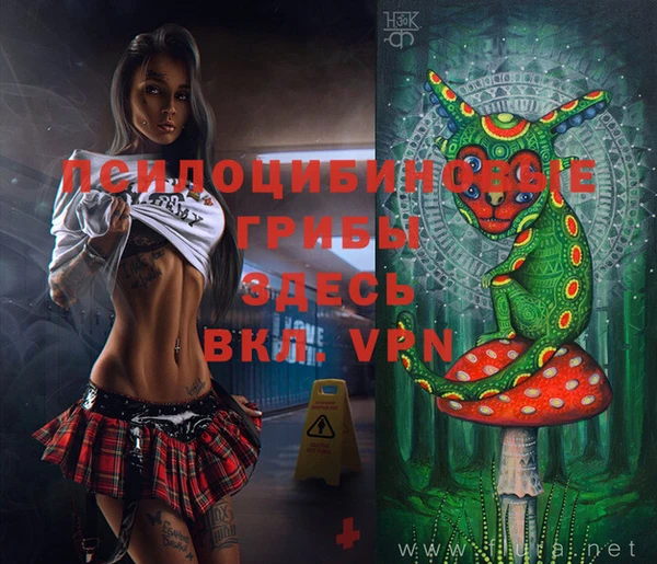 синтетический гашиш Арсеньев
